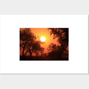 Blaze Orange Kansas Sunset with Tree silhouette's Posters and Art